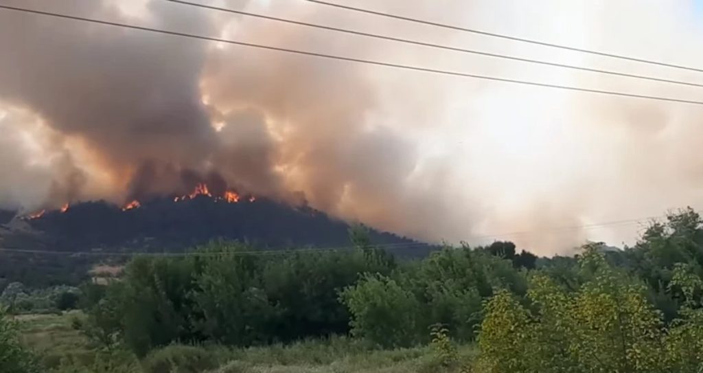 Τομεάρχες ΣΥΡΙΖΑ – ΠΣ: “Ανεπαρκής η κυβέρνηση και στη διαχείριση της μεγάλης πυρκαγιάς στο Εθνικό Πάρκο Δαδιάς”